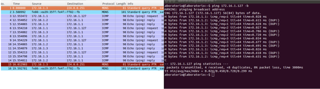 Figure 1.2-1 Pinging Broadcast Address