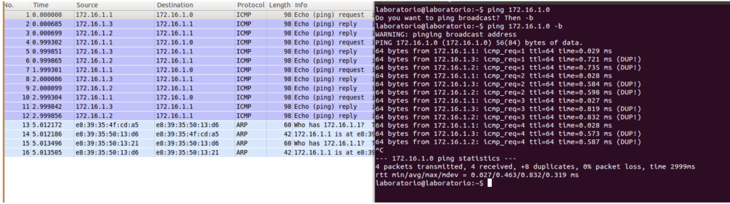 Figure 1.2-2 Pinging Network Address